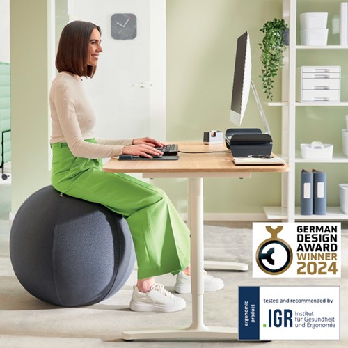 Actieve zitbal Leitz Ergo 65cm anti-rol donkergrijs-5