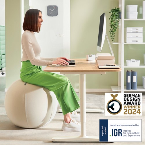 Actieve zitbal Leitz Ergo 65cm anti-rol design-3