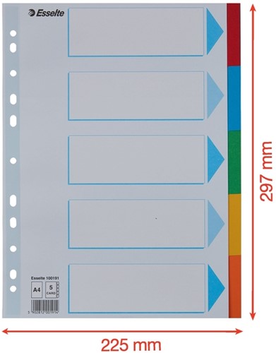 Tabbladen Esselte Standaard A4 5-delig karton 11-rings met voorblad assorti-3