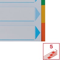 Tabbladen Esselte Standaard A4 5-delig karton 11-rings met voorblad assorti-5