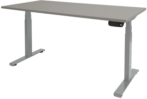Elektrisch verstelbaar zit/sta bureau - 120x80 - Lichtgrijs - Aluminium