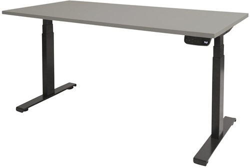 Elektrisch verstelbaar zit/sta bureau - 120x80 - Lichtgrijs - Zwart